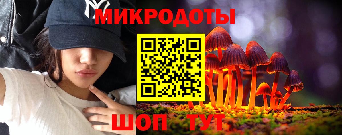 Среднеуральск  Псилоцибиновые грибы Psilocybe  Вход с VPN 